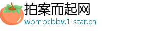 拍案而起网